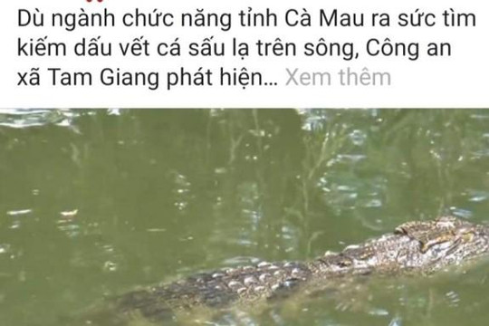 Cà Mau: 'Cá sấu nổi đầu trên sông' là 'tin vịt'?