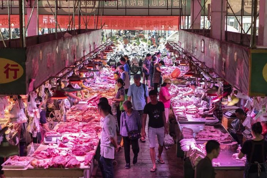 Trung Quốc chuẩn bị mua thêm thịt lợn từ Mỹ trước thềm đàm phán thương mại