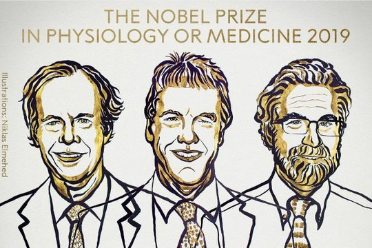 Nobel Y sinh 2019 vinh danh các nhà khoa học Mỹ, Anh