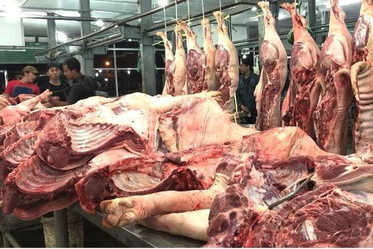 Giá thịt heo tăng kỷ lục, bán sỉ vọt lên 75.000 đồng/kg