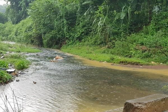 Vụ nước ở Hà Nội có mùi lạ: Xe tải đổ trộm dầu nhớt gần nhà máy nước sông Đà