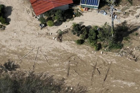 Nhật Bản: Hơn 60 người thiệt mạng vì bão