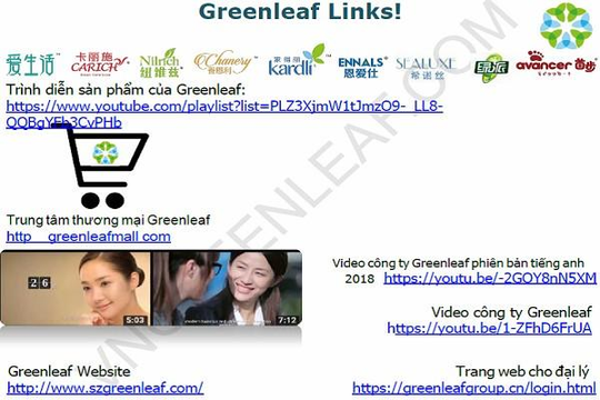 Nguy cơ sập bẫy với hệ thống đa cấp Greenleaf từ Trung Quốc