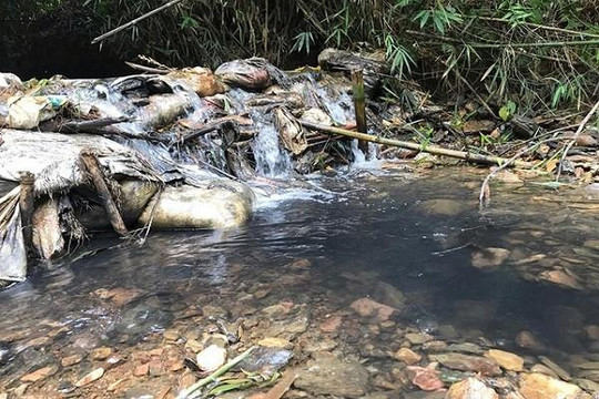 Thủ tướng yêu cầu Bộ Công an khẩn trương điều tra vụ ô nhiễm nước tại Hà Nội