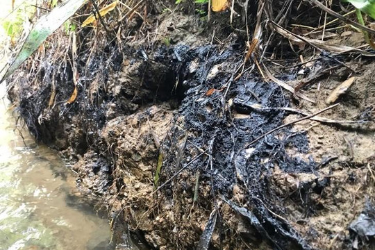 CT nước sạch sông Đà chôn cát dính dầu là sai quy định quản lý chất thải nguy hại