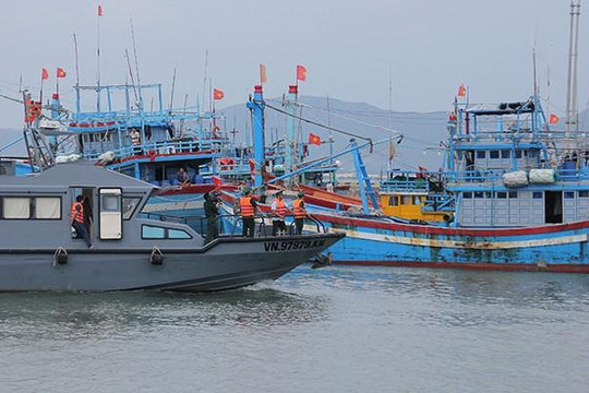 Hàng chục tàu biển ở Bình Định gặp nạn khi bão số 5 đổ bộ