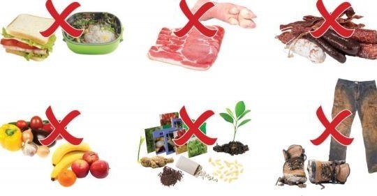 Úc giải thích lý do từ chối thị thực cho 2 hành khách Việt