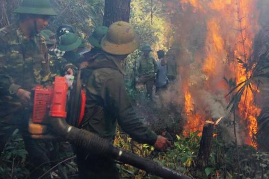 Người đốt rác gây cháy rừng kinh hoàng ở Hà Tĩnh bị phạt 7 năm tù