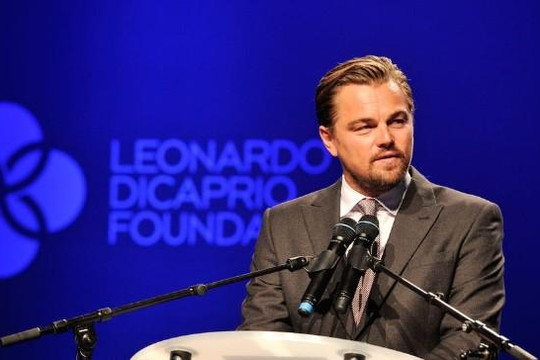 Leonardo DiCaprio bị đổ lỗi về vụ cháy rừng Amazon
