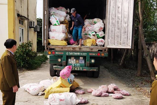 Hà Tĩnh: Bắt xe container chở hơn 10 tấn nội tạng động vật thối