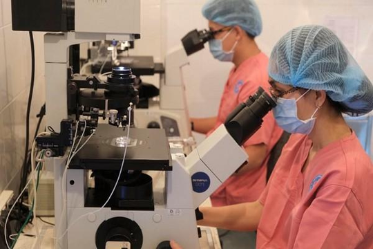 Bệnh viện Hùng Vương hợp tác ứng dụng tế bào gốc để điều trị vô sinh