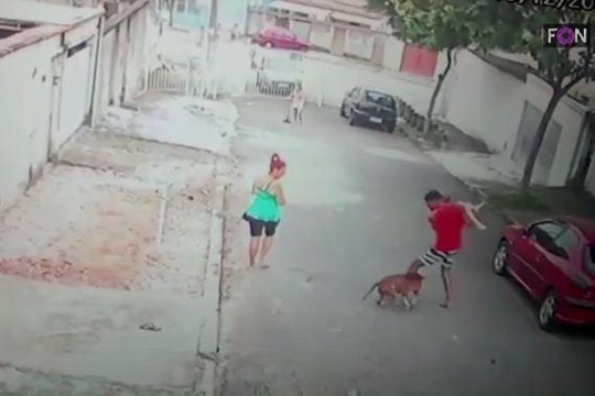 Thanh niên liều mình cứu bé trai 4 tuổi khỏi mõm chó pitbull