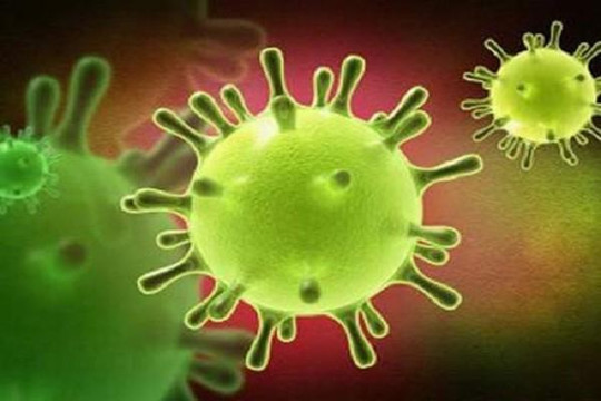 Bộ Y tế Việt Nam lên tiếng về thông tin bệnh viêm phổi cấp ở Trung Quốc nghi do SARS