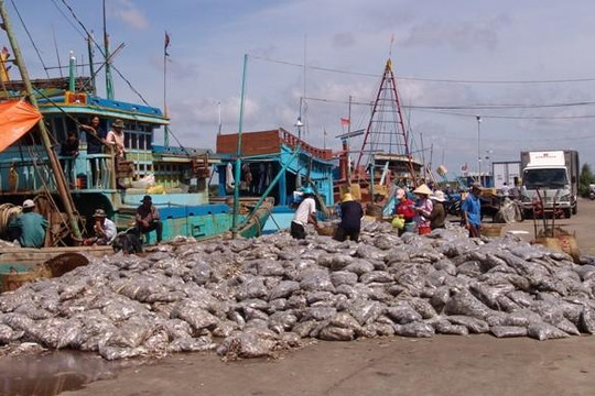 Bạc Liêu: Cảnh cáo Giám đốc cảng cá do chi khống tiền tiếp khách