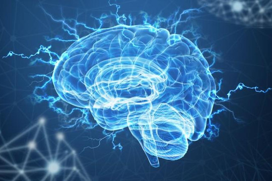 Các nhà khoa học thành công trong việc làm chậm quá trình lão hóa não