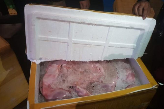 Hà Tĩnh: Bắt xe khách giường nằm chở 6 tạ thịt mèo 