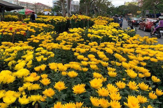 Hoa Tết ở Đà Nẵng: Đến chiều 29 Tết vẫn... ê chề