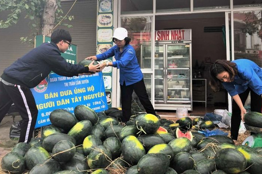 Hà Tĩnh: ‘Giải cứu’ dưa hấu, kiếm tiền mua khẩu trang phát cho dân chống dịch coronavirus