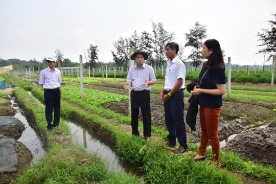 Thừa Thiên - Huế chủ động giúp nông dân tiêu thụ sản phẩm trong mùa dịch