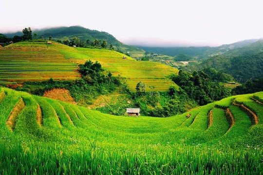 Nông nghiệp Việt dự kiến lập kỷ lục xuất khẩu trong năm 2019