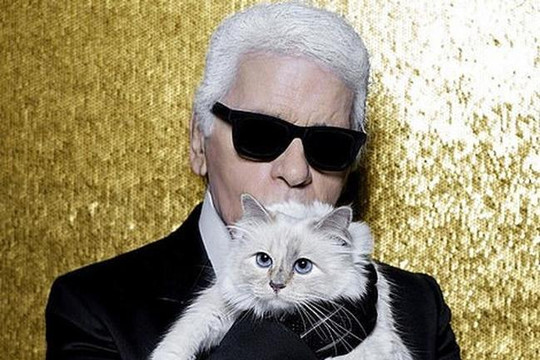 Chuyện ít ai biết về con mèo cưng của NTK Karl Lagerfeld vừa qua đời