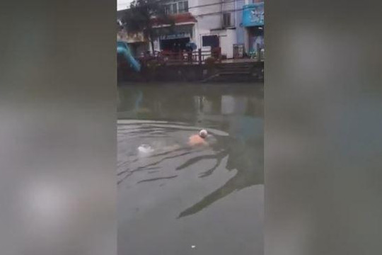Cụ ông bơi qua sông để tránh trạm kiểm tra chống dịch Covid-19