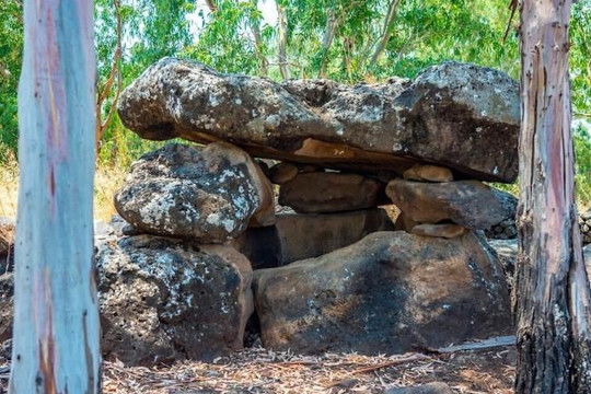 Phát hiện hình khắc 4.200 năm tuổi trong các ngôi mộ đá ở Israel