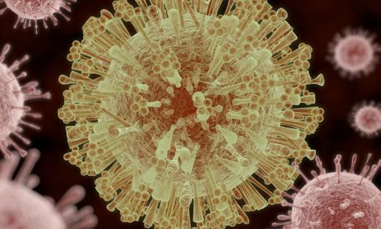 Nobel Hóa học 2017 thuộc về công trình tạo kính hiển vi chụp ảnh virus Zika