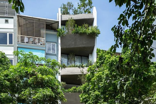 Ngôi nhà 49m2, phủ đầy cây xanh ở Hà Nội lên báo kiến trúc Mỹ