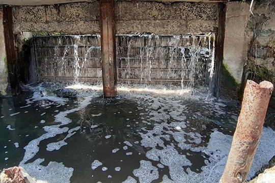 Đà Nẵng: Hồ công viên 29 Tháng 3 bị xả nước thải đen đặc, hôi thối