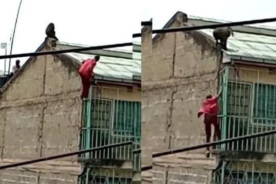 Đáng sợ clip người đàn ông rơi từ tầng 3 xuống hàng rào tôn vì bị khỉ rượt