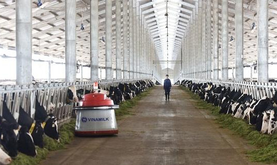 Khánh thành trang trại bò sữa công nghệ cao Vinamilk tại Thanh Hóa