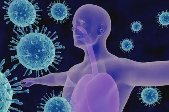 Cuộc chiến giữa hệ miễn dịch và virus