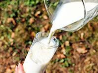 Sữa dê có tác dụng bảo vệ đường ruột của trẻ