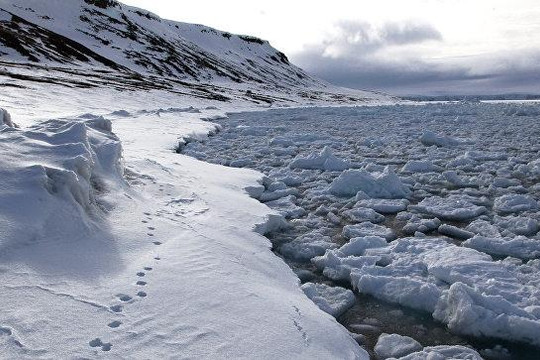 Nga lo lớp băng vĩnh cửu tan nhanh có thể khiến dịch bệnh than bùng phát