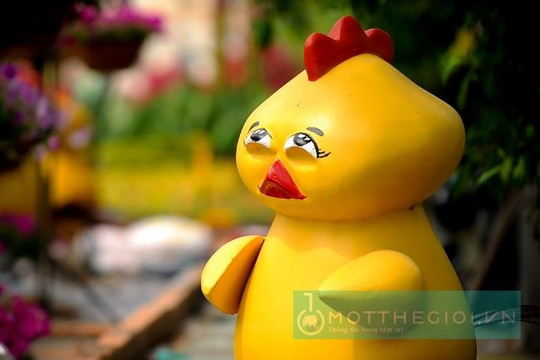 Cận cảnh 'chú gà Pikachu' hot nhất đường hoa Nguyễn Huệ 2017