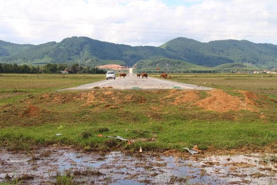 Phóng sự ảnh: Con đường cụt 52 tỉ bị bỏ không giữa cánh đồng ở Hà Tĩnh