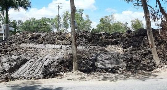 Cà Mau: Bị phạt hơn 67 triệu đồng vì bán đất mặt ruộng