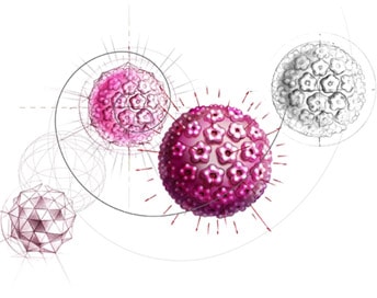 Những điều bạn chưa biết về Vắc-xin ngừa vi-rút HPV