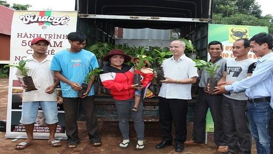Thực hiện chương trình 'Hỗ trợ phát triển cà phê Buôn Ma Thuột'