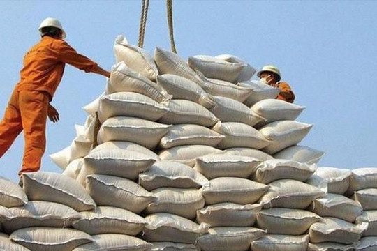 UB Kinh tế: Xử lý trách nhiệm, làm rõ nghi vấn lợi ích nhóm trong xuất khẩu gạo