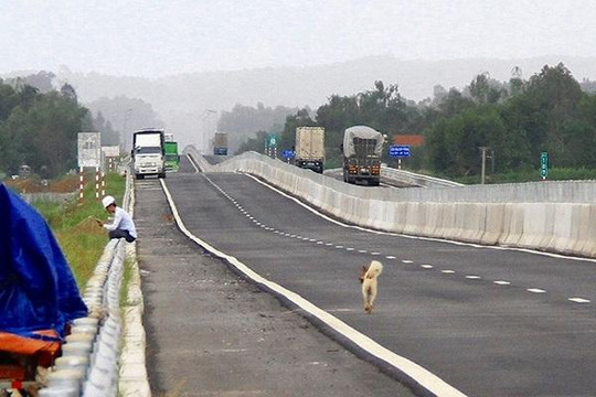 Dự án cao tốc Đà Nẵng-Quảng Ngãi vào 'tầm ngắm' kiểm toán năm 2019