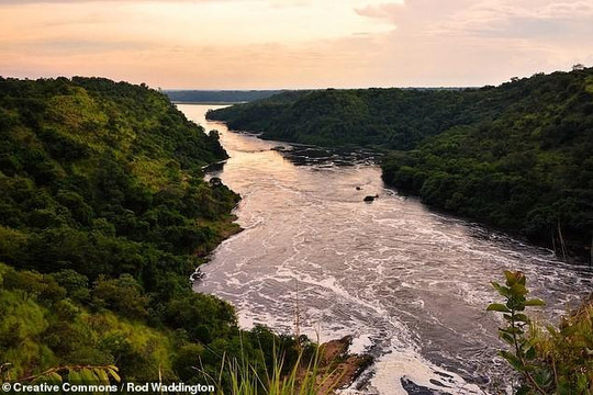 Tuổi của sông Nile là 30 triệu năm
