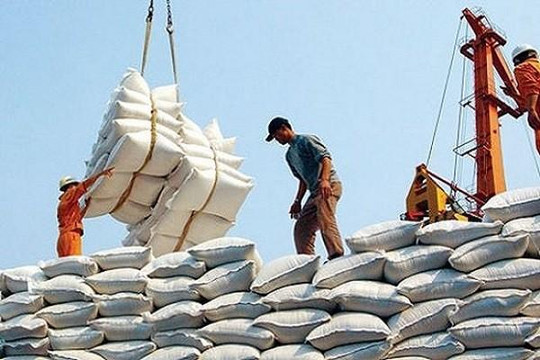 Phó thủ tướng yêu cầu 2 Bộ Công Thương, Tài chính rút kinh nghiệm vụ xuất khẩu gạo