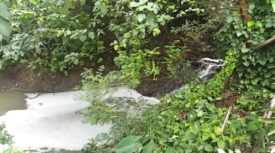 Đầu độc sông Hồng, 2 công ty bị xử phạt hơn 830 triệu đồng
