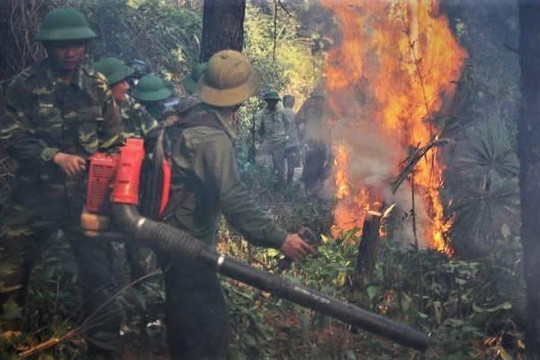 Hà Tĩnh: Phạt một nông dân 90 triệu đồng do đốt thực bì gây cháy rừng