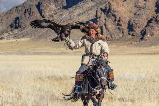 Đi săn bằng đại bàng trên thảo nguyên Mông Cổ