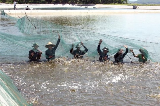 Tạp chất ngay trong đầu