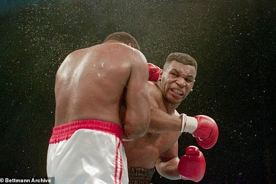 Mike Tyson muốn thượng đài lần 3 với người từng bị mình cắn đứt vành tai