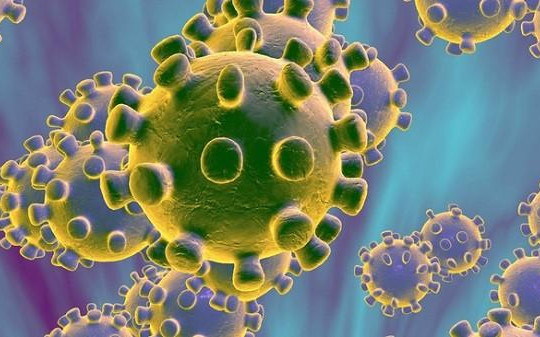 Bộ KH-CN phê duyệt đề tài nghiên cứu về chủng mới coronavirus